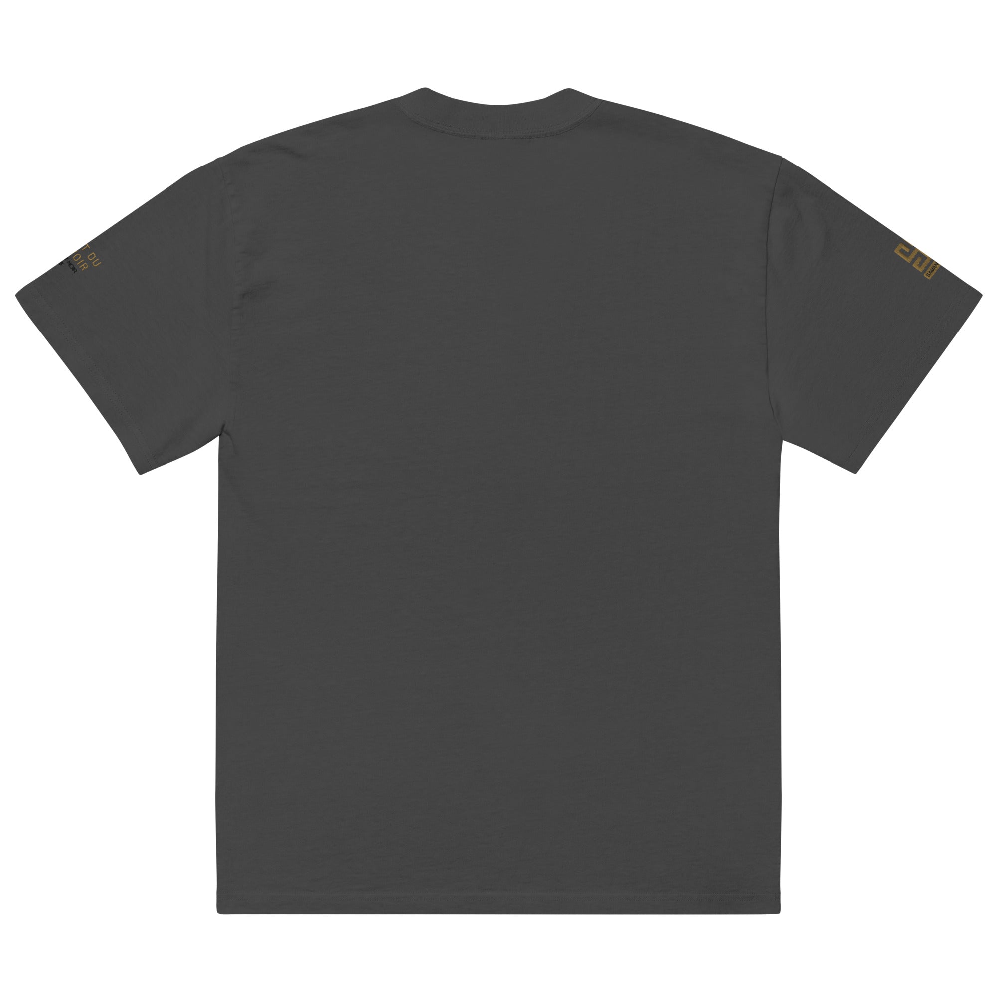 SAVANT NOIR luxury streetwear oversized tee in dark gray shown from the back with gold sleeve details
